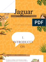 Jaguar 20240525 181034 0000