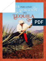 Guia Paso A Paso Del Tequila