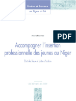 Accompagner L'insertion Professionnelle Des Jeunes Au Niger: État Des Lieux Et Pistes D'action