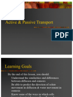 Active & Passive Transport