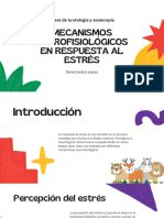 Mecanismos Neurofisiologicos