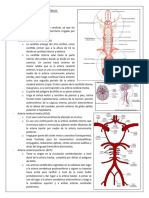 Accidente Cerebrovascular Isquémico