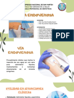 Vía Endovenosa