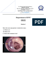 2.5.3 Osce & Ospe Charts