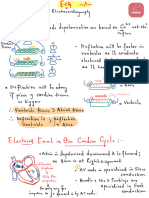 ECG Basics