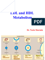 HDL Metabolism