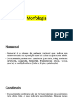 Morfo - Resumo