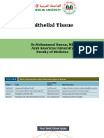 L.2-Epithelial Tissue - PPTX