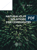 Natural Climate Solutions For Corporates