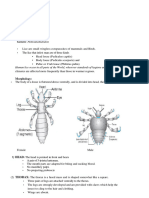 Lice and Cyclops Notes