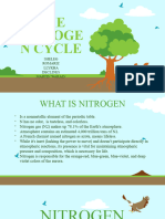 Nitrogen Cycle