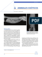 Caso Clínico De: Animales Exóticos