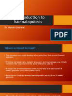 1 - Introduction To Heamatopoiesis