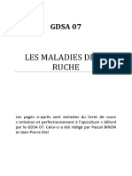 Maladies de La Ruche-Gdsa07