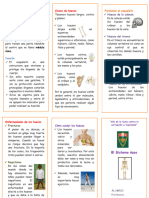 El Sistema Oseo Triptico