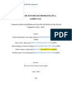 Primer Avance de Informe de Estudio de Problemática Ambiental