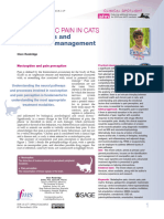 Mechanisms and Multimodal Management: Neuropathic Pain in Cats