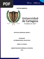 Gestion Ambiental - Unidad 4 - Katherine Palacio