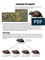 Rat Island Project