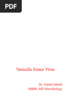 Varicella Zoster Virus