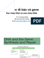 Sao Chép DNA Và S A CH A DNA