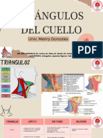 Triangulos Del Cuello