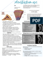 Endocrinologia 3