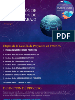 Gestion de Procesos de Negocio - Primera Unidad PMBOK