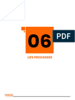 Chapter 6 Life Processes - 2022-23 PYQs