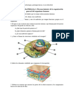 Actividades UD1 AFPB