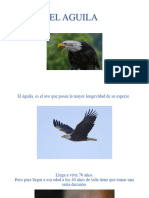 El Aguila