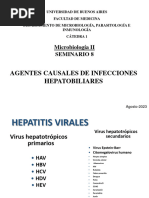 Seminario 8 Hepatobiliares-1