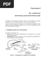 Hapitre: Mbryologie DE L Hypophyse