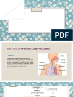 Anatomia y Patologia Respiratoria