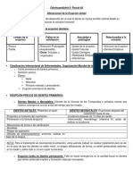 Tema 18.b. Alteraciones en La Erupción Dental