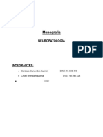 MONOGRAFIA NEURO (Funciones Ejecutivas) - 24