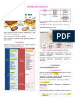 Antibioticoterapia: Gram + E Gram