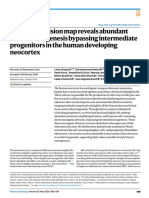 A Cell Fate Decision Map Reveals Abundant Direct Neurogenesis Bypassing Intermediate Progenitors in The Human Developing Neocortex