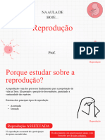 Reprodução - Power Point