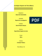 Reporte de Investigación - Cadenas Productivas - Àngel Daniel Zapata de Jesùs - 409-A