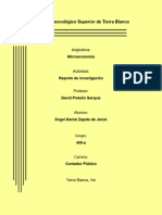 Reporte de Investigación - Producciòn - Microeconomìa - Àngel Daniel Zapata de Jesùs