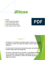 Mitose e Meiose