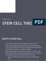 Stem Cell Theory