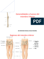 Huesos Del Miembro Inferior