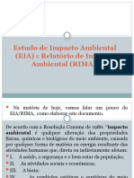 Estudo de Impacto Ambiental (EIA)