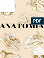 Anatomia