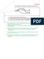 Ebau Examen Expresion Genica