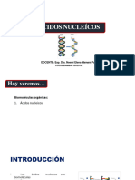 4.3 Acidos Nucleicos