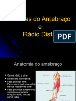 Fratura Antebraco e Punho