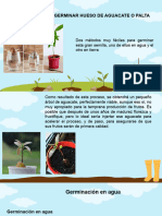 Diseño de Germinacion Poda